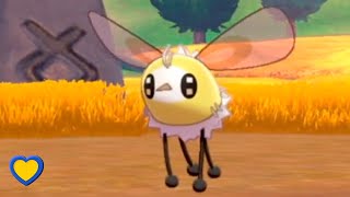 HOW TO GET Cutiefly in Pokémon Sword and Shield [upl. by Moss]