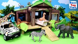 Safari Jungle Wild Animals Care Playset  Fun Animals Toys For Kids [upl. by Ennovoj]