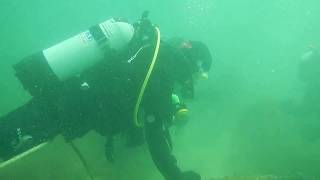 Diving at Beadnell Northumberland [upl. by Zetram]