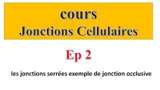 cours jonctions cellulaires Ep2  les jonctions serrées exemple de jonction occlusive [upl. by Haywood770]