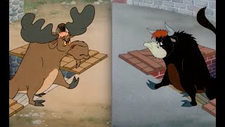 Which Is Better 28  Homesteader Droopy vs Senor Droopy [upl. by Dasha6]