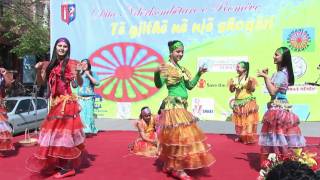 Celebrating Cultural Diversity on International Roma Day [upl. by Iuq]