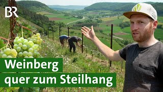 Weinbau in Franken Mit Querterrassen steile Weinberge bewirtschaften  Wein  Unser Land  BR [upl. by Iruy]