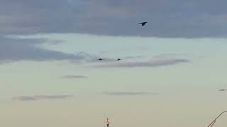 B1 lancer flyover UT Georgia game from East Campus Garage [upl. by Hagar]