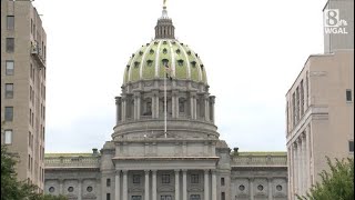 Two groups rally at the state capitol to increase penalties for PFA violations [upl. by Rad929]