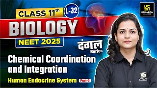 Class 11 Biology  Chemical Coordination and Integration  NEET 2025  L32  Dr Ronak Maam [upl. by Idham]