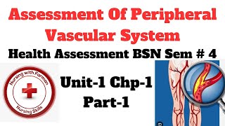 Assessment of Peripheral Vascular System  Health Assessment 4th Sem  BSN Chap  1 Part1 [upl. by Wendye]