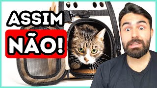 O MELHOR TIPO DE CAIXA DE TRANSPORTE PARA GATOS [upl. by Reggis19]