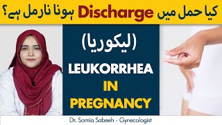 Leukorrhea In Pregnancy Is It Normal  Pregnancy Mein Discharge Ka Hona  Vaginal Discharge [upl. by Aglo]