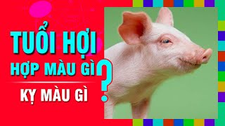 TUỔI HỢI Hợp MÀU GÌ Kỵ Màu Nào Nhất Chọn Màu Sắc Đúng Phong Thủy Để Đón May Mắn [upl. by Troth849]