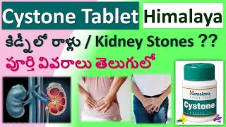 Cystone tablet in Telugu full review  Composition Uses Working Dosage Side effects [upl. by Herrod]