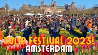 🌷HOW WE CELEBRATE THE NATIONAL TULIP DAY IN AMSTERDAMNETHERLANDS 🇳🇱  FREE TULIPS MUSEUMPLEIN [upl. by Attiuqram]