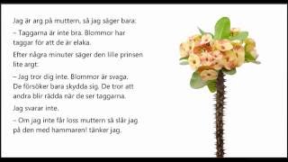 Ljudbok Den lille prinsen kapitel 7 Prinsens blomma [upl. by Hecht]