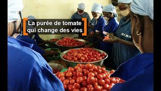 Burkina Faso  La purée de tomate qui change des vies [upl. by Carlton468]