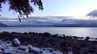 Flock of seabirds flying over the ocean in Juneau Alaska [upl. by Eniad950]