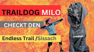 Milo checkt den Endless Trail in Sissach [upl. by Wesla955]