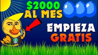 Waves Ducks 🦆 Nuevo Juego Play to Earn Cómo entrar GRATIS [upl. by Nagem]