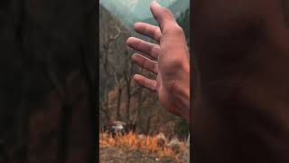 Kasol😌……shortsvideo [upl. by Oiuqise]