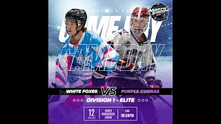 Div 1 Elite  Purple Cobras vs White Foxes [upl. by Nedrud987]