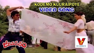 KODEMO KUURAIPOYE VIDEO SONG JEEVITHA RATHAM  SHOBAN BABU  SUMALATHA  V9 VIDEOS [upl. by Jerroll]