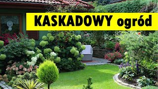 Kaskadowe KRĂ“LESTWO hortensji zlokalizowane na tle lasu [upl. by Branca]