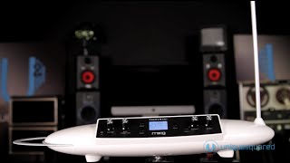 Moog Theremini Overview and Demo  UniqueSquaredcom [upl. by Artkele813]