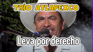 🔥CHULO SON quotLa leva por derechoquot Trío Atlapexco [upl. by Anewor]