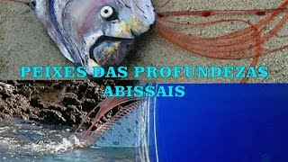 PEIXES DAS PROFUNDEZAS ABISSAIS [upl. by Nenney148]