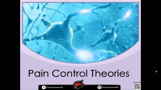 Module D  Referred pain Anatomy 14 [upl. by Tubb243]