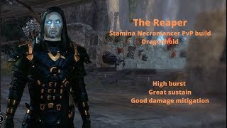 The Reaper A Stamina Necromancer PvP build [upl. by Nnawtna]