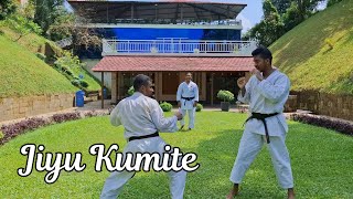 Jiyu Kumite  Karate Do Spirit Tour [upl. by Airalav600]