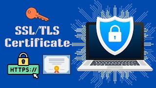 SSLTLS Certificate Basics Understanding Encryption amp Secure Connections [upl. by Ibbed]