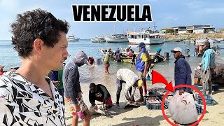 La vida real de los Pescadores del Caribe 🇻🇪 [upl. by Aiker]