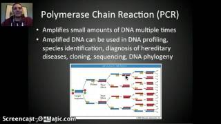 IB Genetic Engineering amp Biotechnology Part 1 [upl. by Treve]