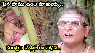 ALLU RAMALINGAIAH JABARDASTH NONSTOP COMEDY SCENE  RAJABABU  SURYAKANTHAM  TELUGU CINE CAFE [upl. by Ahsekyw846]