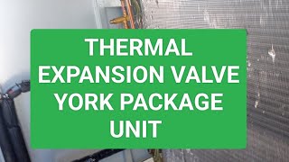 TXVThermal Expansion Valve Inside ReviewYork [upl. by Ahsiek454]