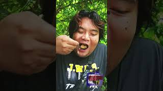 SALTED EGG CALAMARES ASMR [upl. by Eadie]