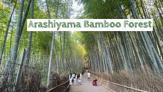 Kyoto Arashiyama Bamboo Forest Walk Japan 嵐山バンブーフォレスト [upl. by Eentihw]