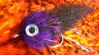 Tying a GT Brush Fly [upl. by Burgess]