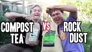 Compost Tea vs Rock Dust  Which is the Better Organic Fertilizer [upl. by Elihu700]