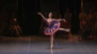 Dorothee Gilbert  Bayadere [upl. by Cohby993]