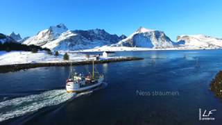 Winter time in Lofoten Islands 2017 [upl. by Baggett]