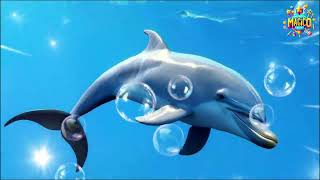 Explora el Mar 🐬🐢 Canción Infantil con Delfines Pulpos y Criaturas Sorprendentes [upl. by Adaliah360]