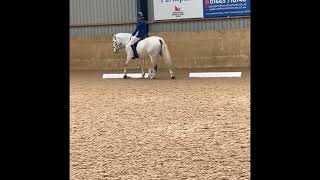 Novice 24 2010 dressage test 68 West Moor Farm Equestrian [upl. by Rramed]