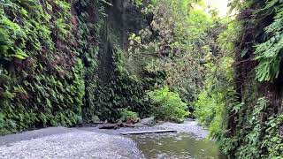 Fern Canyon Randy quotWindtalkerquot Motz Native American style flute ambientmusic [upl. by Alenas826]