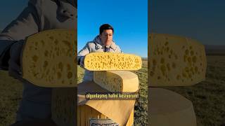 60 kglık Gravyer Peynirini Kestik 🧀 Peynere Karstan peynirinizi gönderir [upl. by Schilit605]