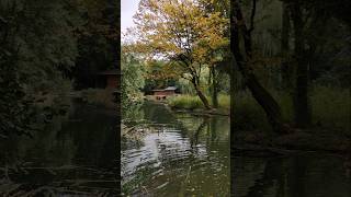 Herbst Natur Spaziergang Park Naturpark Burg Seebenstein shorts nature [upl. by Aihseit]