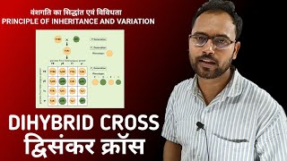 DIHYBRID CROSS  PRINCIPLE OF INHERITANCE AND VARIATION  द्विसंकर क्रॉस  BIOLOGY CLASS 12 [upl. by Nodnyl]