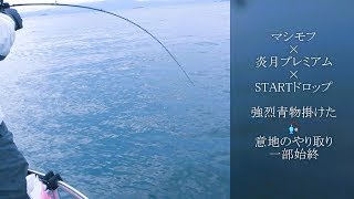 ライトタックルで鯛ラバ中に青物掛けたらどうなる❓マシモフ×炎月プレミアム×STARTドロップ使用🎣 [upl. by Ecnarret]