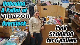 Unboxing a Pallet of Amazon Brand New Overstock  Paid 7000 For 6 Pallets  Will I make money [upl. by Rabelais608]